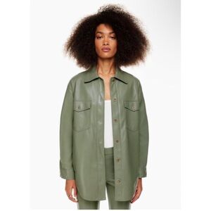 Aritzia Wilfred Ganna Jacket in Sage Green